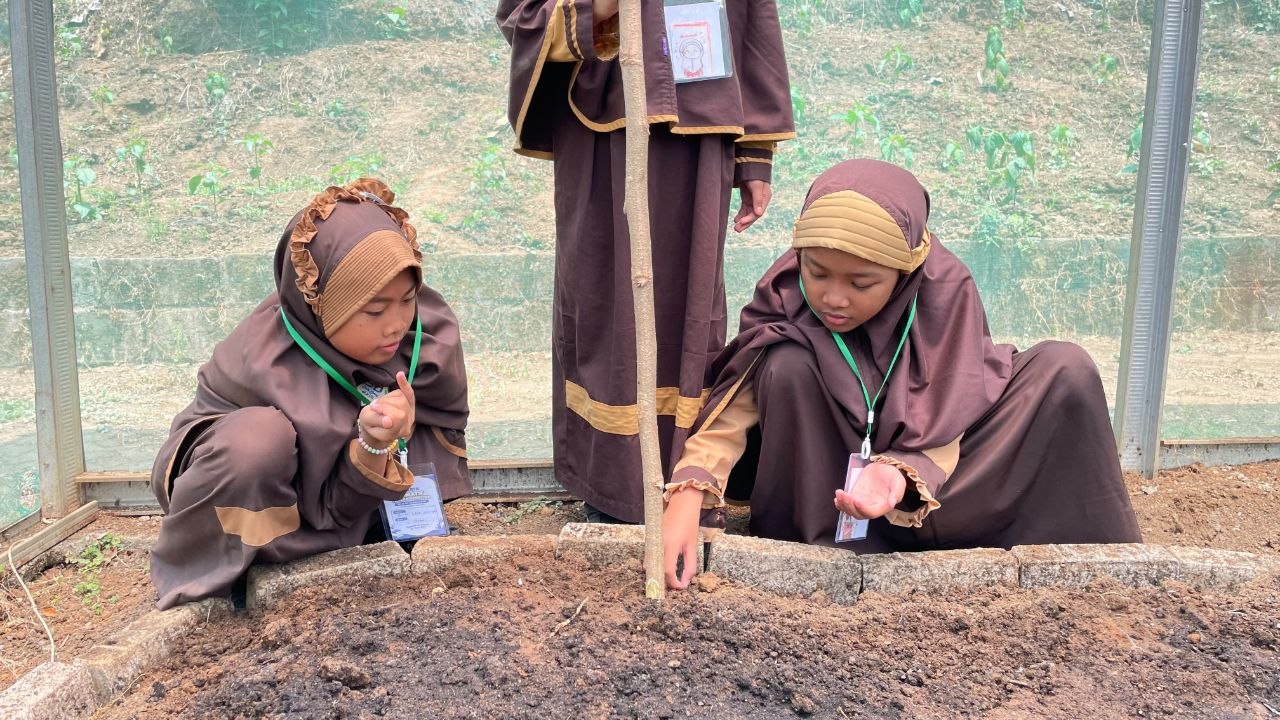 Santriwati SDAI eLKISI bekerja sama menanam dan merawat bibit tanaman di bedengan greenhouse Edupark eLKISI